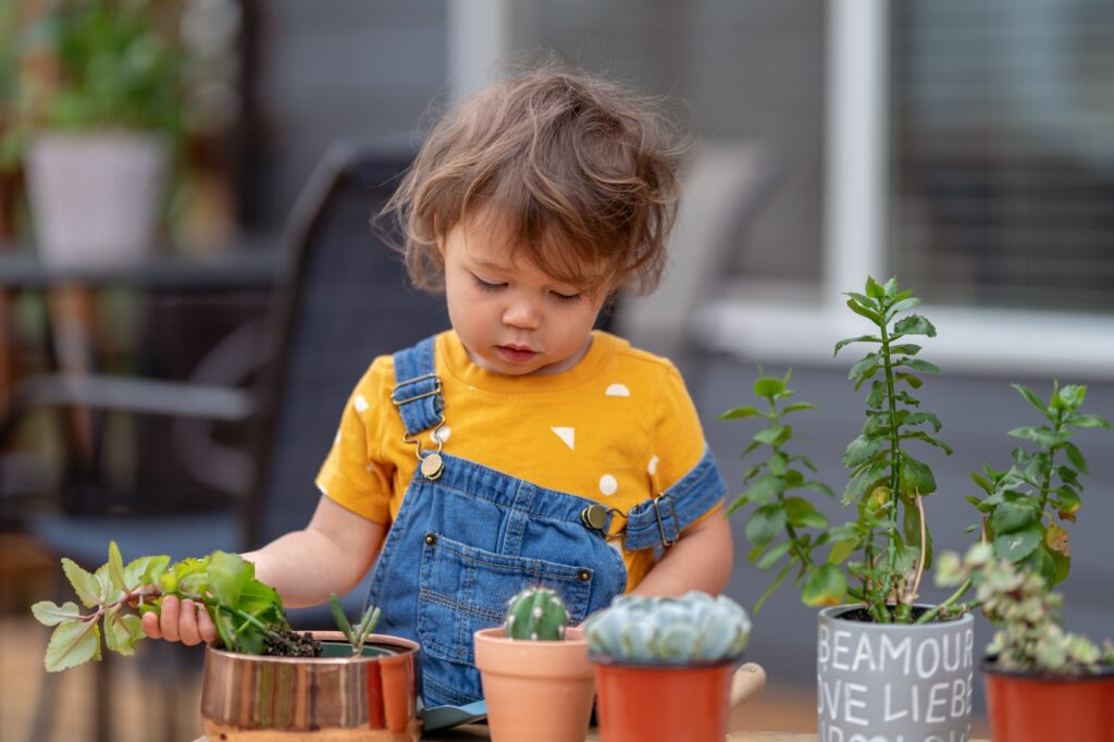 child playing in dirt