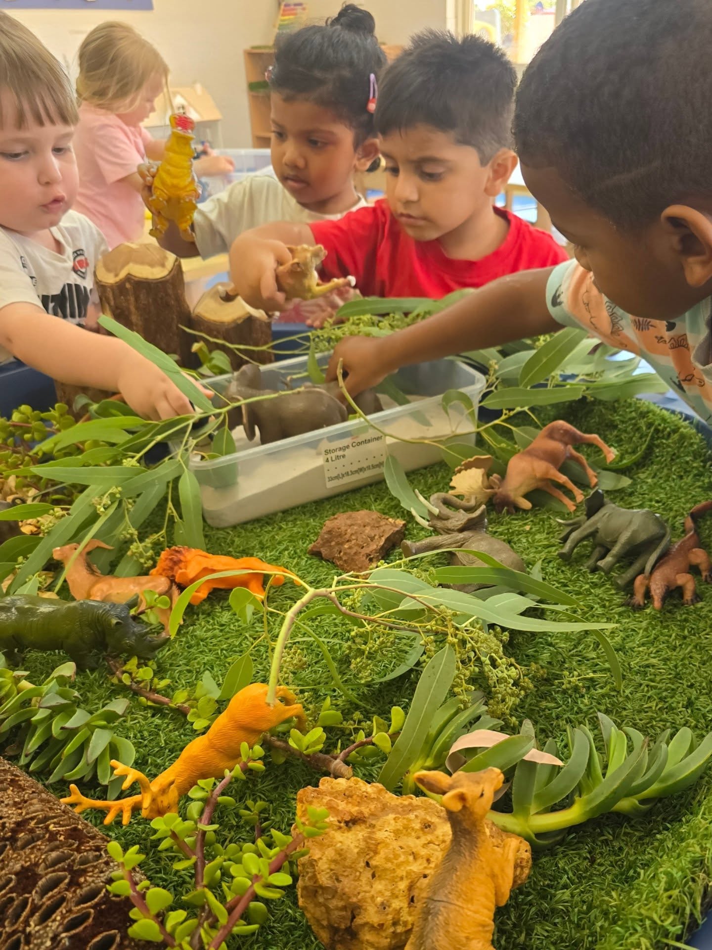 Learning environment at Daisy's